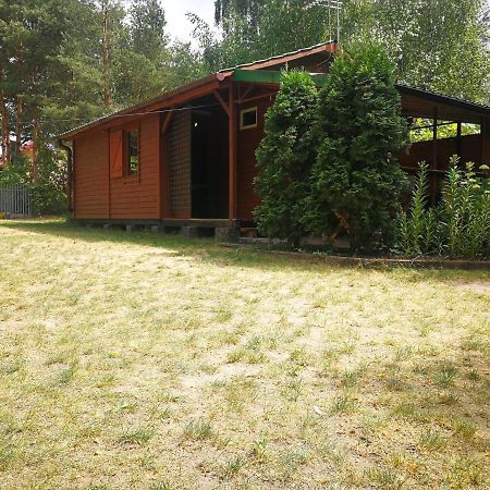 Domki Domek Na Jeziorem Wilczynskim Budzislawskim , Las, Osobno Ogrodzony 2-6 Osob- Klimatyzacja, Ogrzewanie, 62-550 Zygmuntowo Gm Wilczyn Luaran gambar