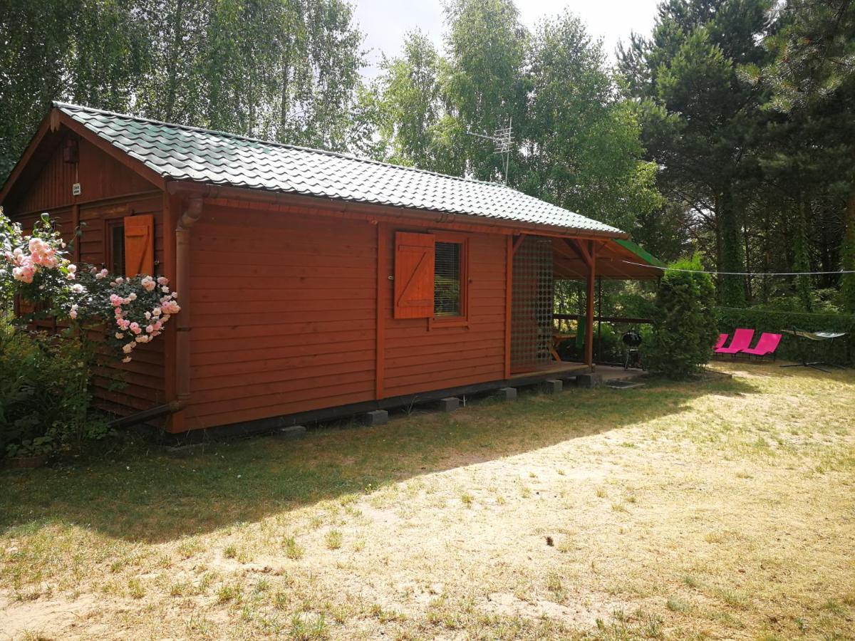 Domki Domek Na Jeziorem Wilczynskim Budzislawskim , Las, Osobno Ogrodzony 2-6 Osob- Klimatyzacja, Ogrzewanie, 62-550 Zygmuntowo Gm Wilczyn Luaran gambar