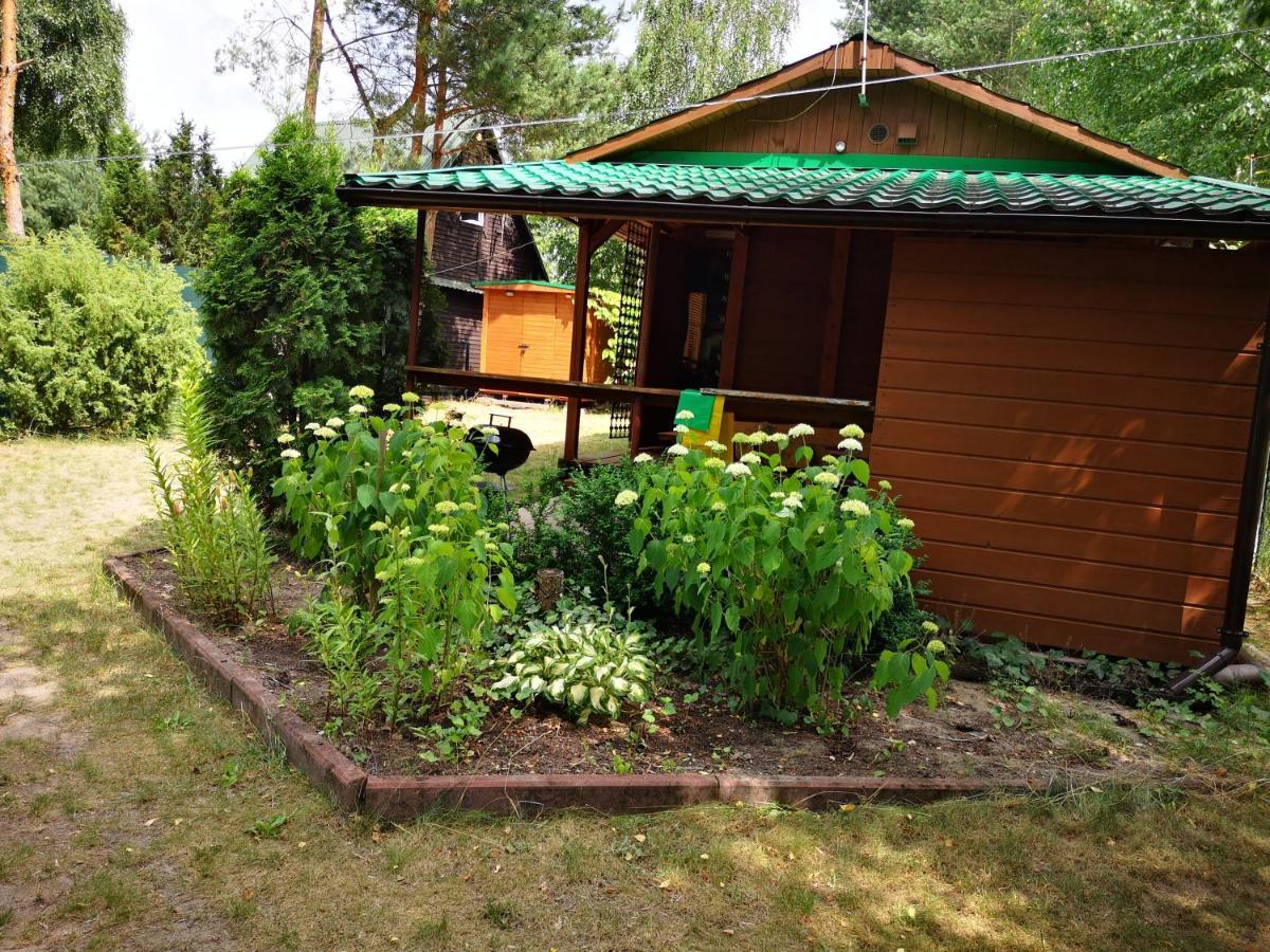 Domki Domek Na Jeziorem Wilczynskim Budzislawskim , Las, Osobno Ogrodzony 2-6 Osob- Klimatyzacja, Ogrzewanie, 62-550 Zygmuntowo Gm Wilczyn Luaran gambar