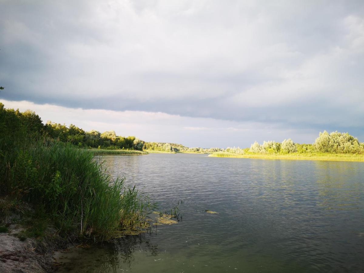 Domki Domek Na Jeziorem Wilczynskim Budzislawskim , Las, Osobno Ogrodzony 2-6 Osob- Klimatyzacja, Ogrzewanie, 62-550 Zygmuntowo Gm Wilczyn Luaran gambar