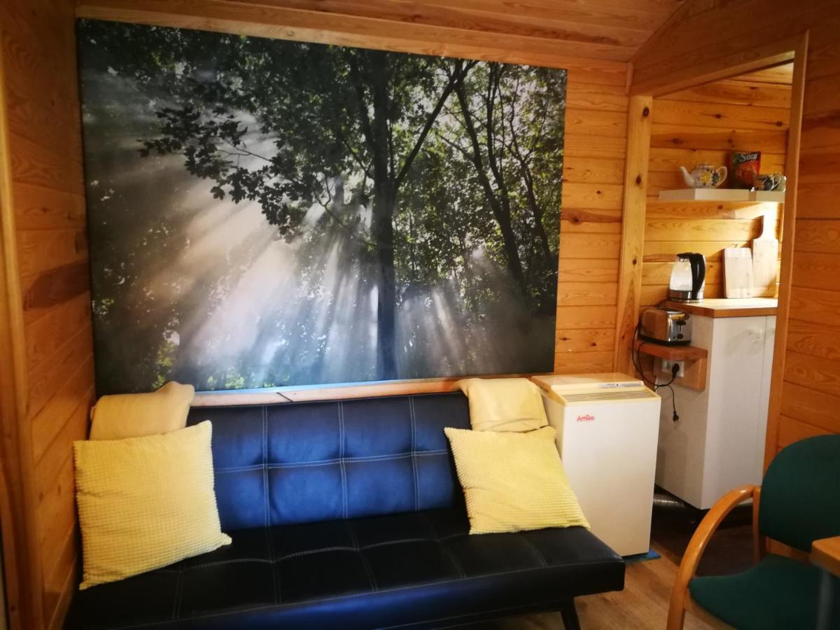 Domki Domek Na Jeziorem Wilczynskim Budzislawskim , Las, Osobno Ogrodzony 2-6 Osob- Klimatyzacja, Ogrzewanie, 62-550 Zygmuntowo Gm Wilczyn Luaran gambar